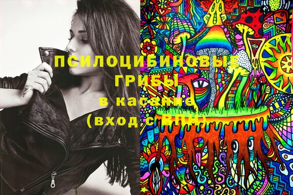 кокс Алексин