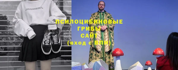 ECSTASY Алексеевка