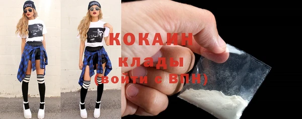 кокс Алексин