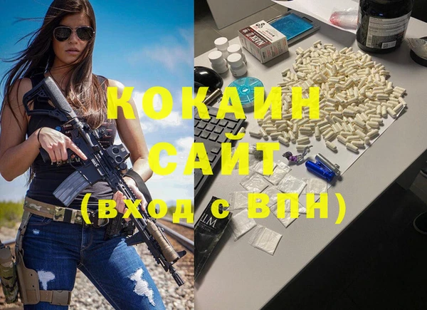 кокс Алексин