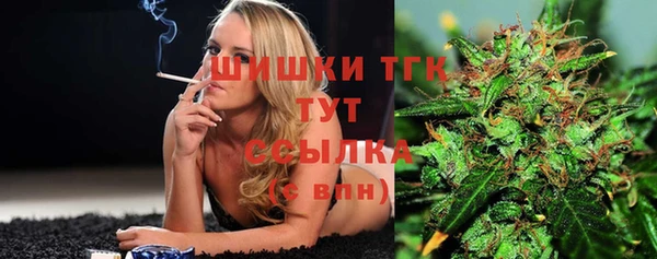 скорость Алзамай