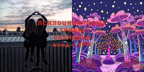 скорость Алзамай