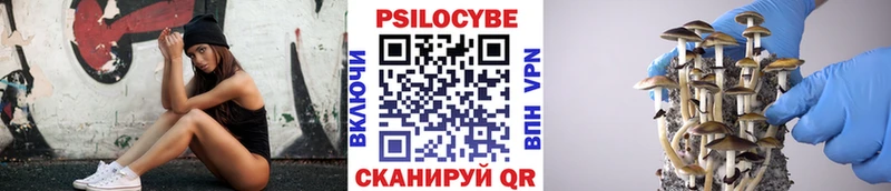 купить наркотик  Сольвычегодск  Псилоцибиновые грибы ЛСД 